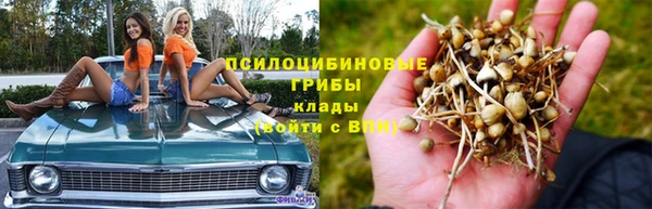 спайс Каменногорск
